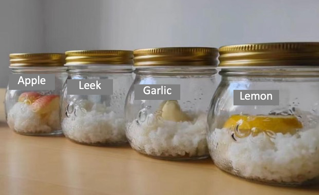 Rice Experiments Report: the invisible energy