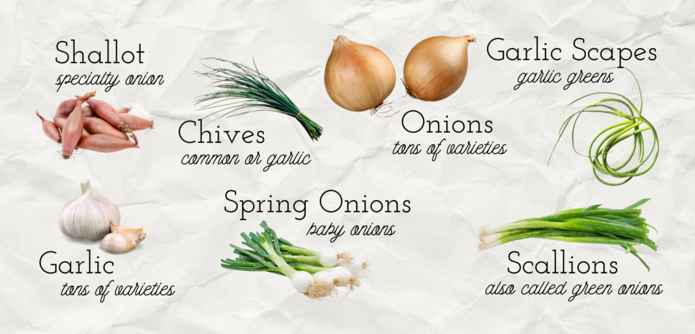 Why No Garlic or Onions: Reasons to Avoid Allium and Asafetida